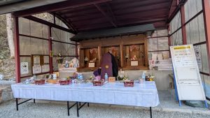 PXL_20260315_055621675