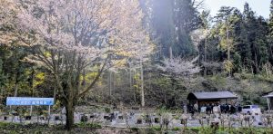 PXL_20260419_055927654.MP~2